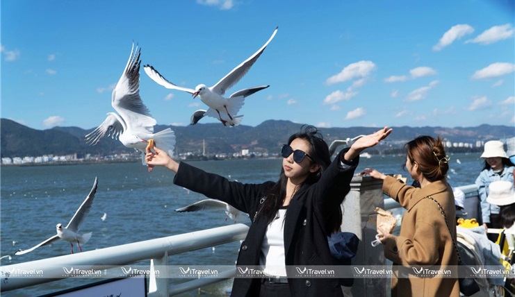 Tour du lịch Trung Quốc: Hà Khẩu –Thạch Lâm - Côn Minh – Kiệu Tử Sơn – Kiến Thuỷ 4N3Đ